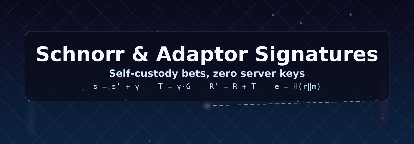 Schnorr and Adaptor Signatures